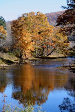 Fall Color on the Greenbrier River